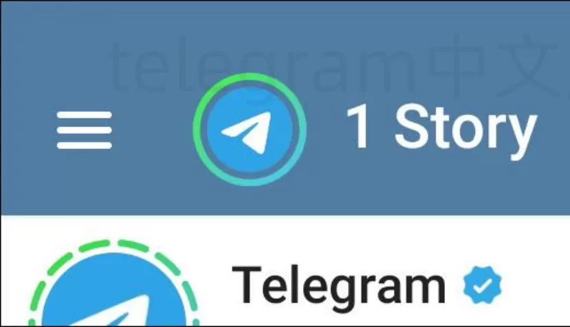 Telegram下载的文件在哪里？一键教你轻松找到！2025年 二